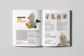 zoomi_7_inside_2.jpg
