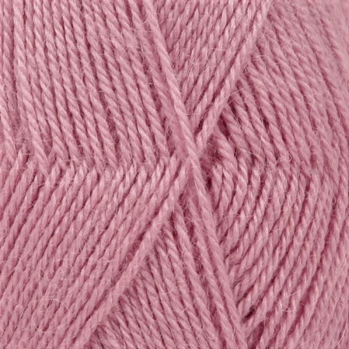 alpaca3720.jpg