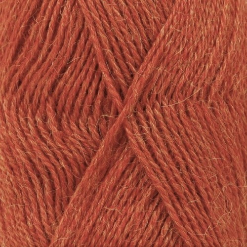 alpaca2925.jpg