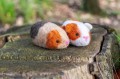 Agna_Wool_Art_prev-19.jpg
