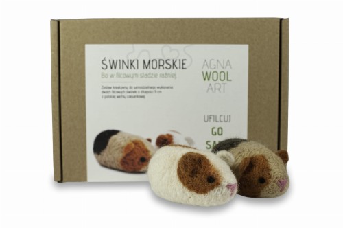 kartoniki_SWINKI_MORSKIE_front_filcowane.jpg
