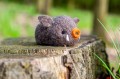 Agna_Wool_Art_prev-3.jpg