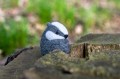 Agna_Wool_Art_prev-7.jpg